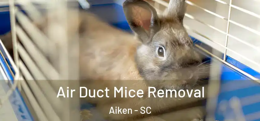  Air Duct Mice Removal Aiken - SC