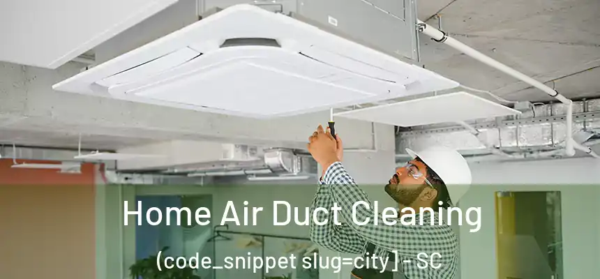  Home Air Duct Cleaning (code_snippet slug=city] - SC