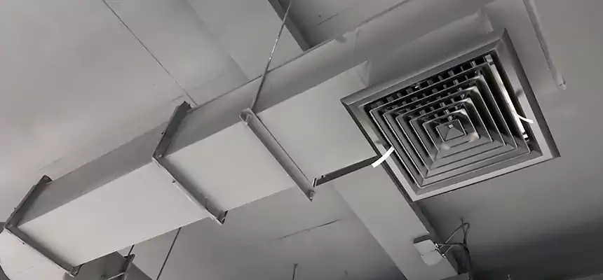 Our Pest Removal From Ducts Services in Aiken, SC