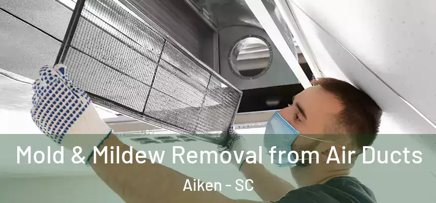  Mold & Mildew Removal from Air Ducts Aiken - SC