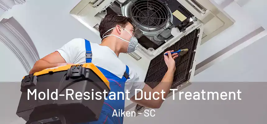 Mold-Resistant Duct Treatment Aiken - SC