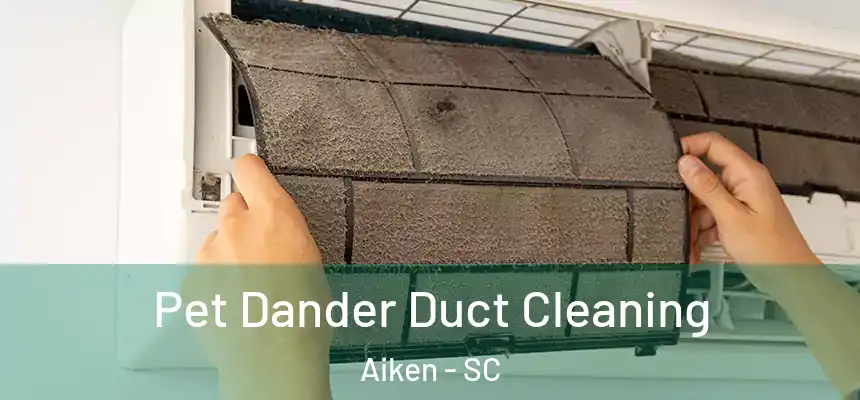 Pet Dander Duct Cleaning Aiken - SC