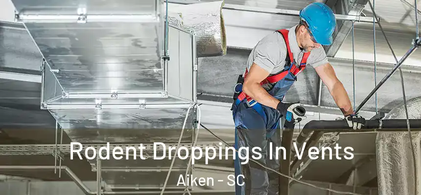 Rodent Droppings In Vents Aiken - SC
