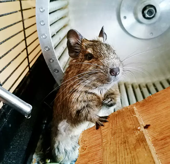 Why Homeowners & Businesses Trust Us Aiken, SC