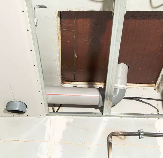 Why Homeowners & Businesses Trust Us in Aiken, SC?